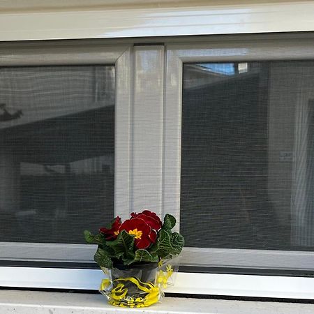 Bouganville Casa Vacanza Ambiente Climatizzato Con Wi Fi 皮内托 外观 照片