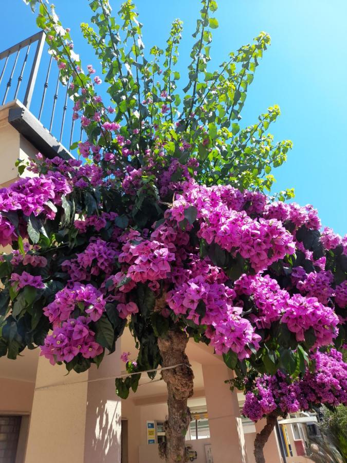 Bouganville Casa Vacanza Ambiente Climatizzato Con Wi Fi 皮内托 外观 照片