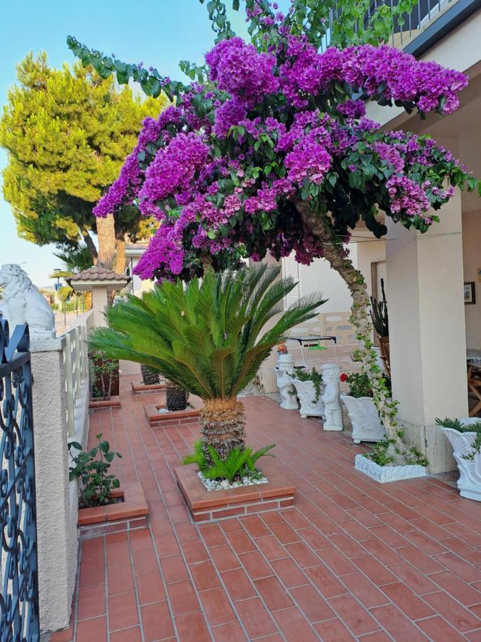 Bouganville Casa Vacanza Ambiente Climatizzato Con Wi Fi 皮内托 外观 照片